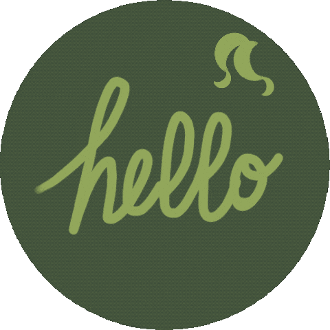 Anyanya99 giphyupload hello hi ciao Sticker