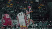 Basketball Bison GIF by NDSU Athletics