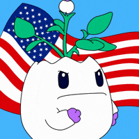 United States Nod GIF by Magic Eden