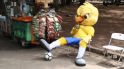 GIF by Confederação Brasileira de Futebol