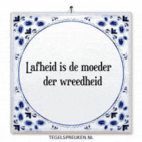 Wijsheid Spreuk GIF by Tegelspreuken.nl