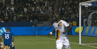 soccer player fun GIF by LA Galaxy