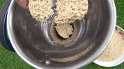 ExperimenMeatGrinder funny satisfying meat experiment GIF