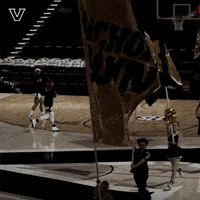 Lets Go Sport GIF by Vanderbilt Athletics