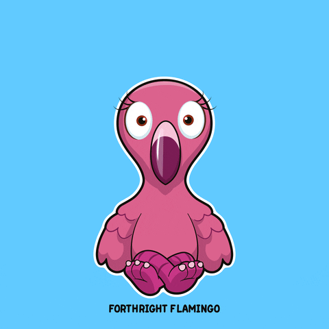 Flamingo GIF by VeeFriends