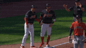 kipnis GIF by MLB