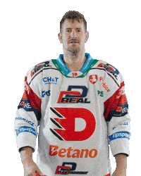 Hockey Czech Sticker by HC Dynamo Pardubice