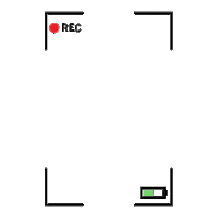 sonyapac cat video vibes action Sticker