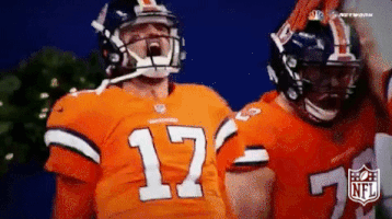 National Football League GIF by NFL