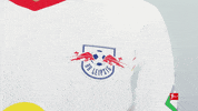 Happy Rb Leipzig GIF by Bundesliga