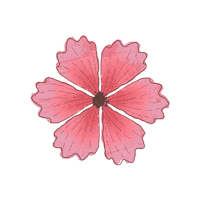 Pink Flower Sticker