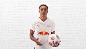 Rb Leipzig Football GIF by Bundesliga