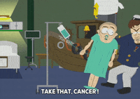 russell crowe fighting GIF by South Park 