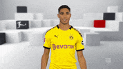 Football Soccer GIF by Bundesliga