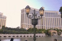 las vegas nevada GIF