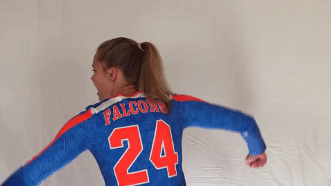 CUWFalcons giphygifmaker GIF