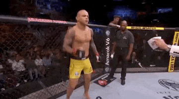 ufc sports sport ufc mma GIF