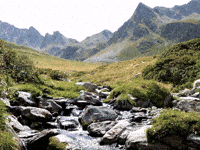 How Are You Hello GIF