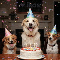 Celebrate Happy Birthday GIF by Salih Kizilkaya