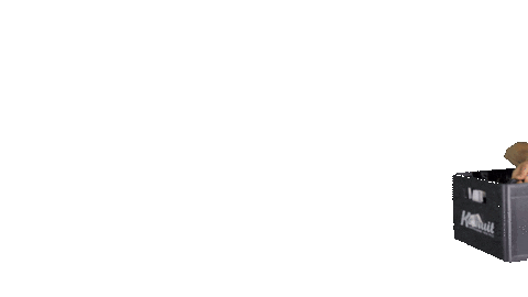 Dj Carnaval Sticker by LINKESOEP