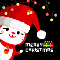 Merry Christmas Cat GIF