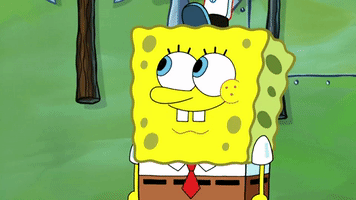 season 9 GIF by SpongeBob SquarePants