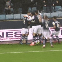 The Den Yes GIF by MillwallFC
