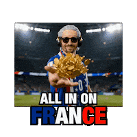 France French Soccer Sticker