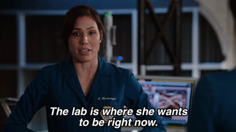 bonesonfox GIF by Bones