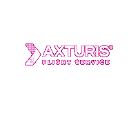 axturisflightservice businessaviation flightplanning axturisflightservice axturis Sticker