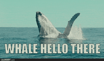 Round GIF