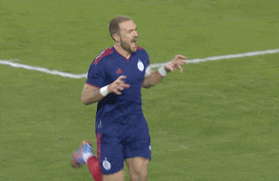 Celebrate Chicago Fire GIF by Major League Soccer