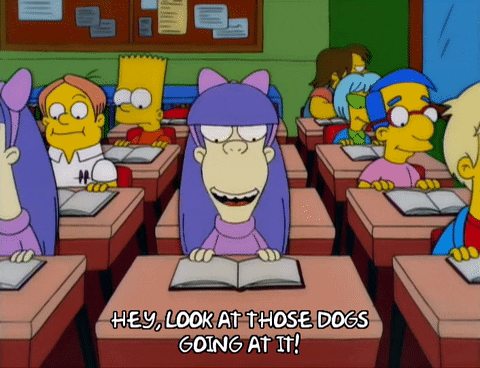 bart simpson millhouse van houten GIF