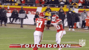 Kansas City Chiefs Football GIF by NFL