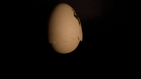 LordPicard giphyupload GIF