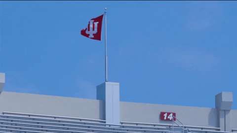 Indiana Hoosiers Iu GIF by Indiana University Bloomington