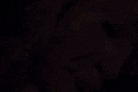 Dollhouse GIF by Shauna Brooks