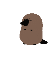 Platypus Sticker