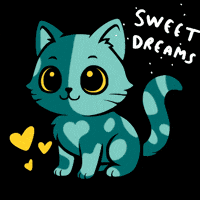 Good Night Cat GIF