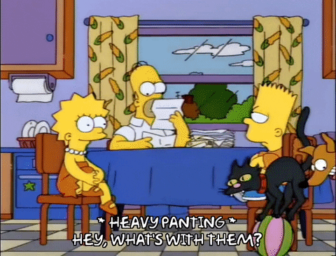 homer simpson snowball GIF