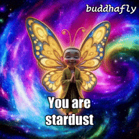 Stars Joy GIF by BuddhaFlyJourney