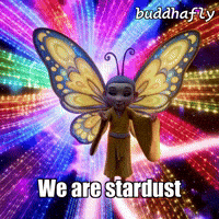 Unity Love GIF by BuddhaFlyJourney