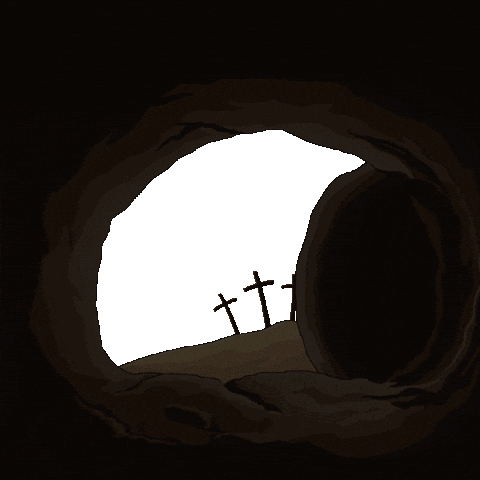 Easter Sunday Penguin GIF by Pudgy Penguins