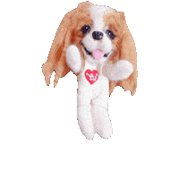 Cavalierkingcharlesspaniel Sticker