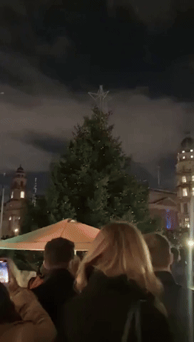 'The Epitome of Parliament': Laughs All Round at Westminster Christmas Tree's Lighting-Up Fail