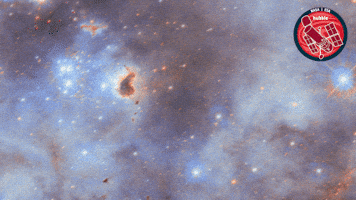 Deep Space Stars GIF by ESA/Hubble Space Telescope