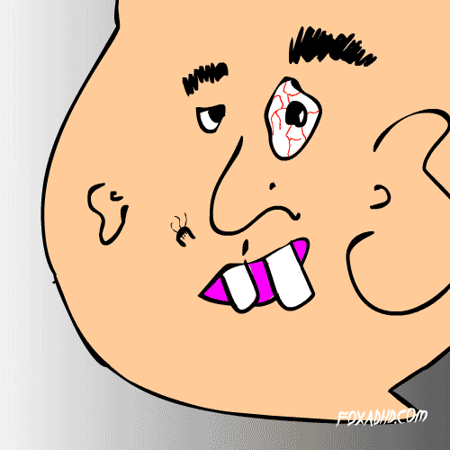 Animation Domination Fox GIF by gifnews