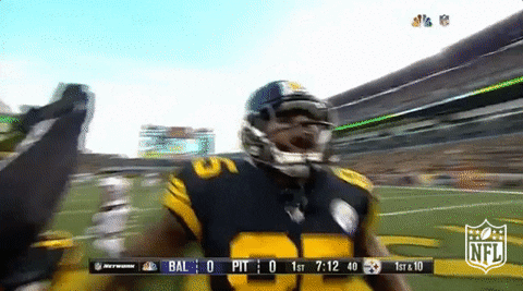 Excited Pittsburgh Steelers GIF by NFL