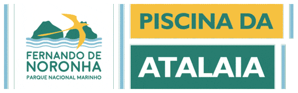 Fernandodenoronha Atalaia Sticker by EcoNoronha