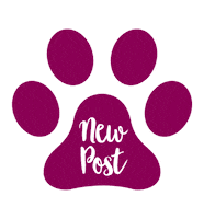 Love Dogs New Post Sticker by puppytales